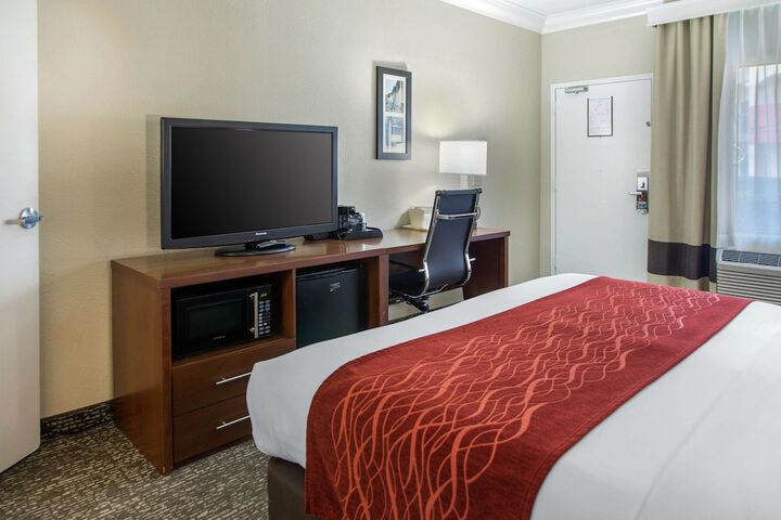 Comfort Inn and Suites San Francisco Airport North