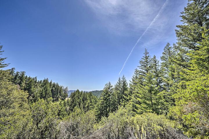 Mountain Homestead: Swim Hike, & Camp On-site!