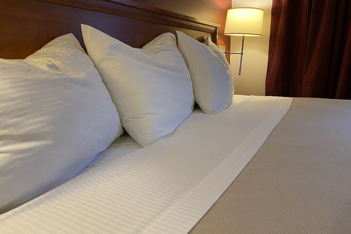 Sahara Courtyard Inn