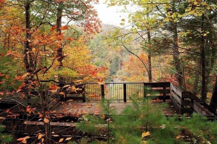 Nacoochee Valley Lodge