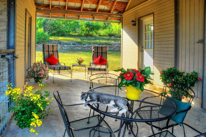 Terrace/Patio 48 of 61