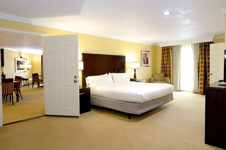 Holiday Inn Hotel & Suites San Mateo-San Francisco SFO by IHG