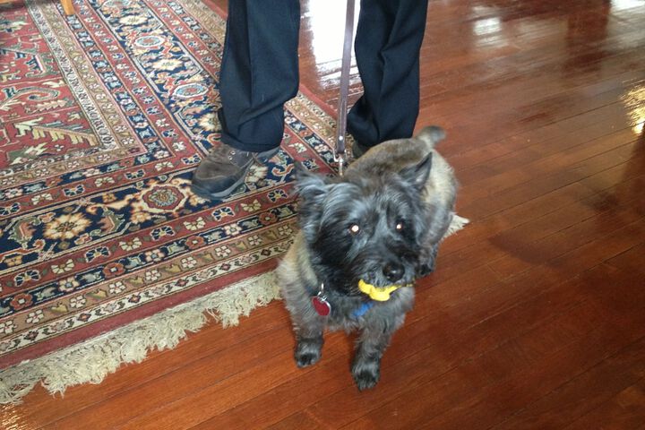 Pet Friendly 41 of 42