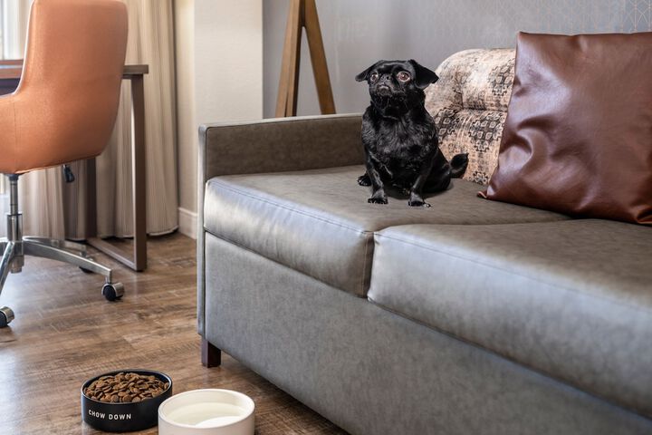 Pet Friendly 63 of 64