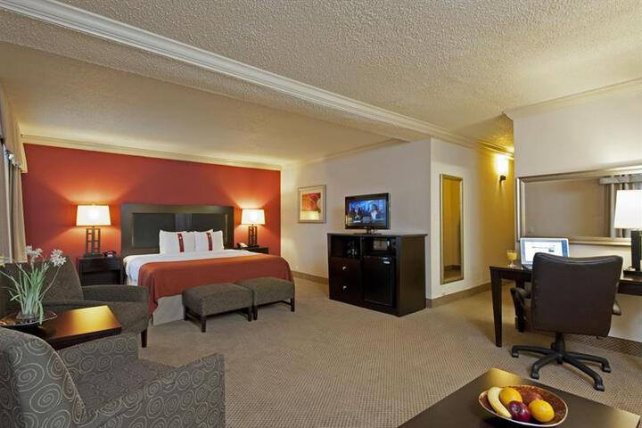 HOLIDAY INN ITASCA (WOODFIELD AREA) (EX