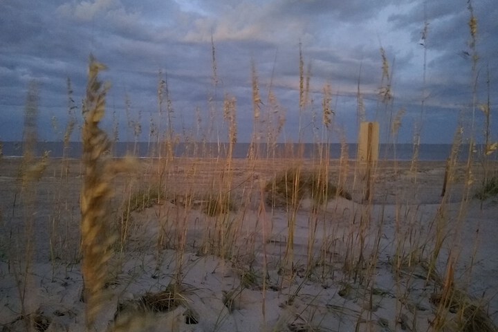 Beach 49 of 56
