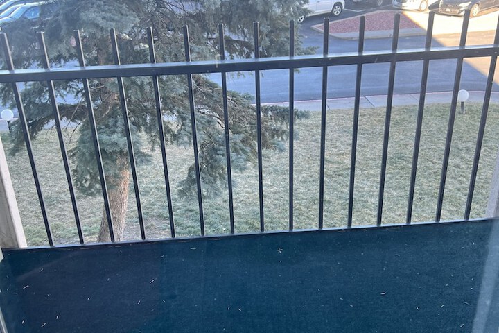 Terrace/Patio 50 of 53