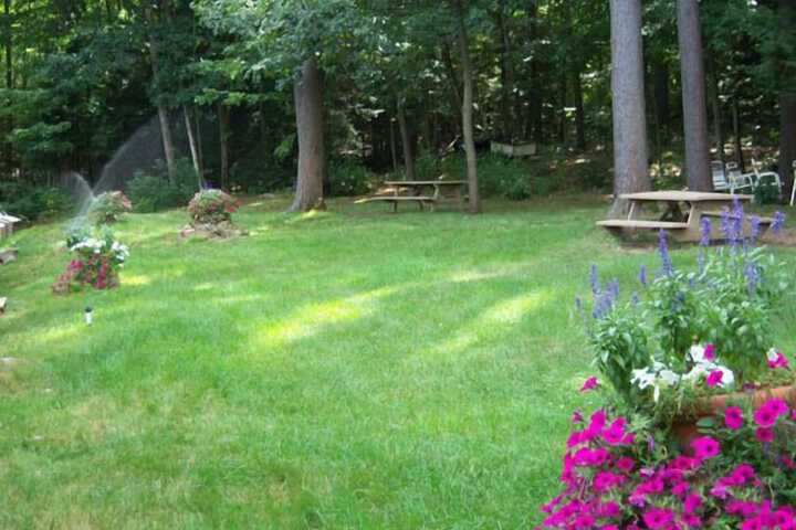 Property Grounds 59 of 65