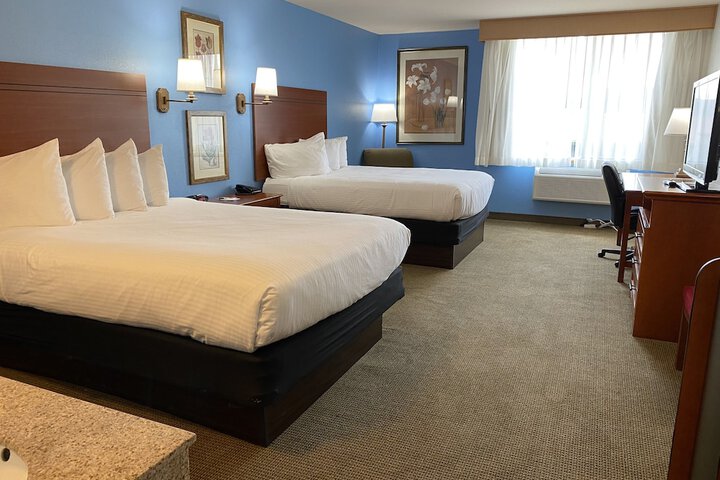 Room 16 of 35