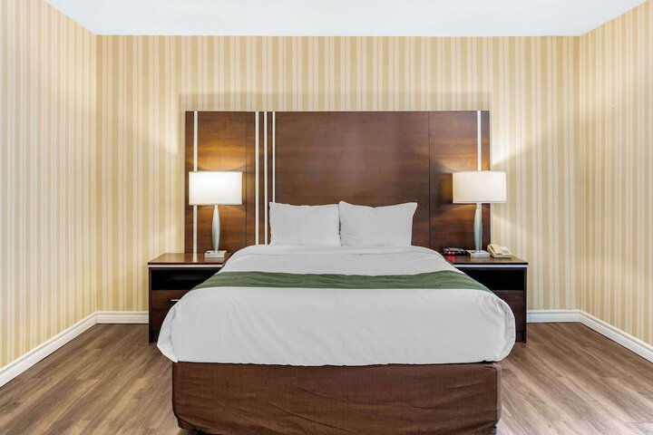 Quality Hotel & Suites