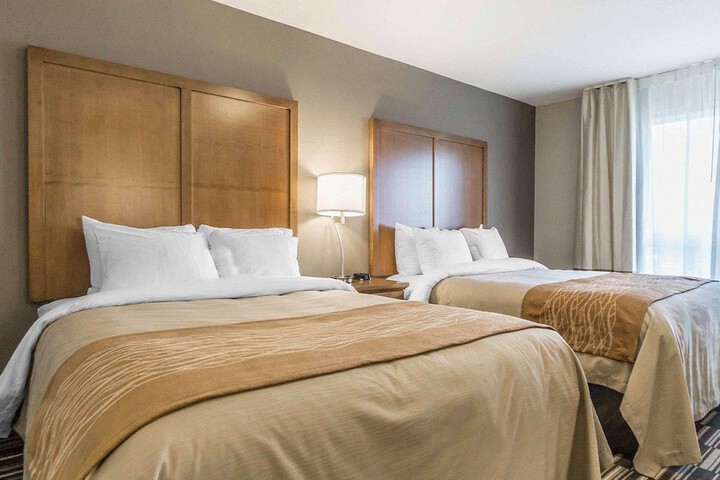 Comfort Inn & Suites Edmonton International Airport