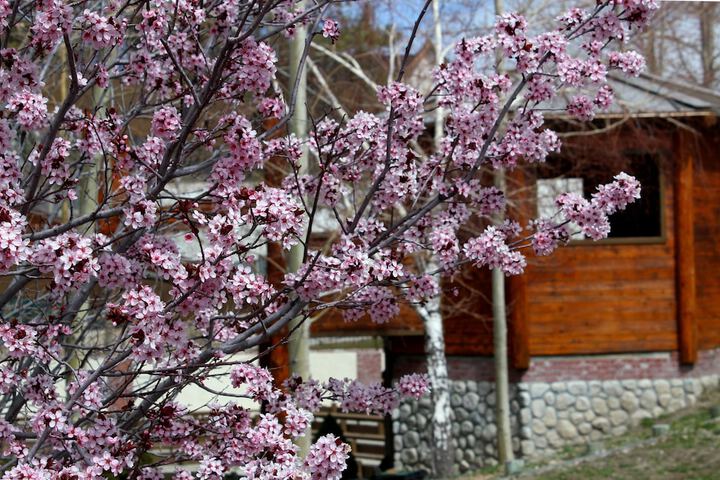 Holiday Inn Resort The Lodge at Big Bear Lake by IHG