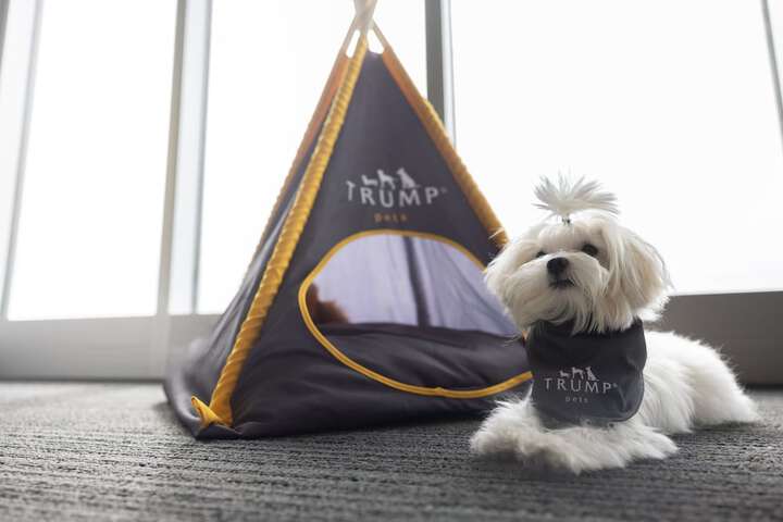 Pet Friendly 146 of 158