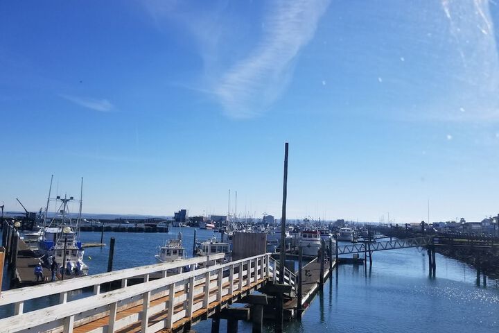 Islander Westport