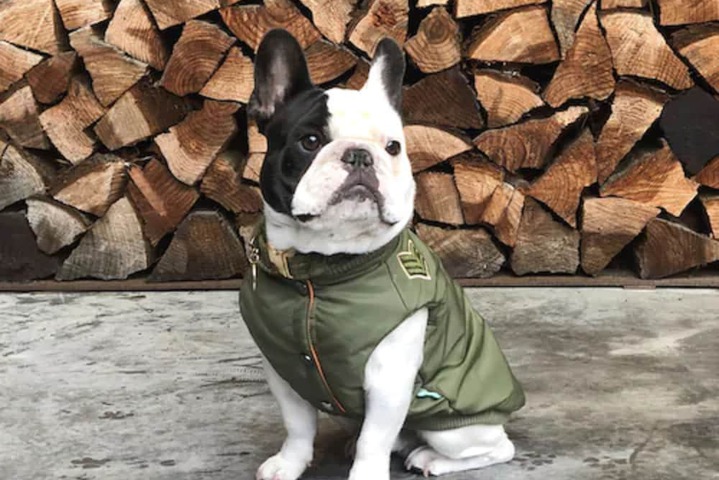 Pet Friendly 124 of 129