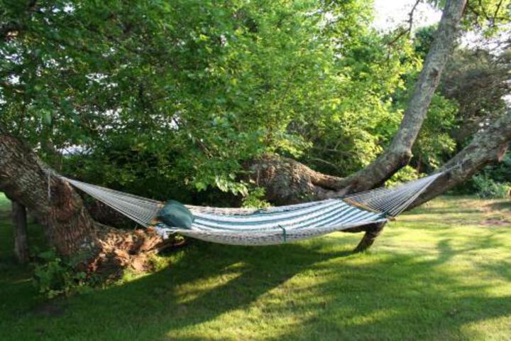 Mulberry Tree Inn