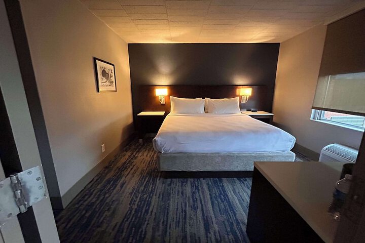 Skyline Hotel Detroit Airport SureStay Collection by BW