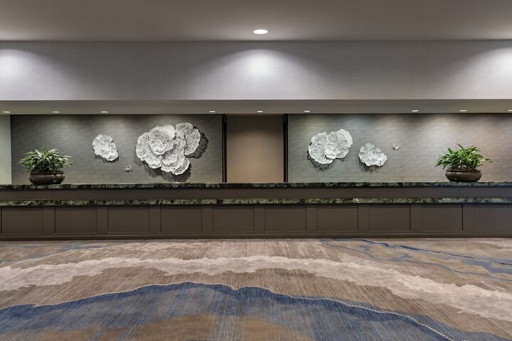 Meeting 113 of 207
