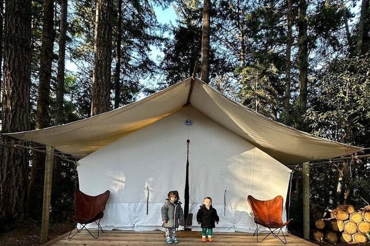 Mendocino Grove