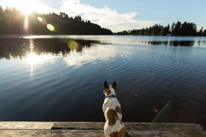 Inn on Long Lake