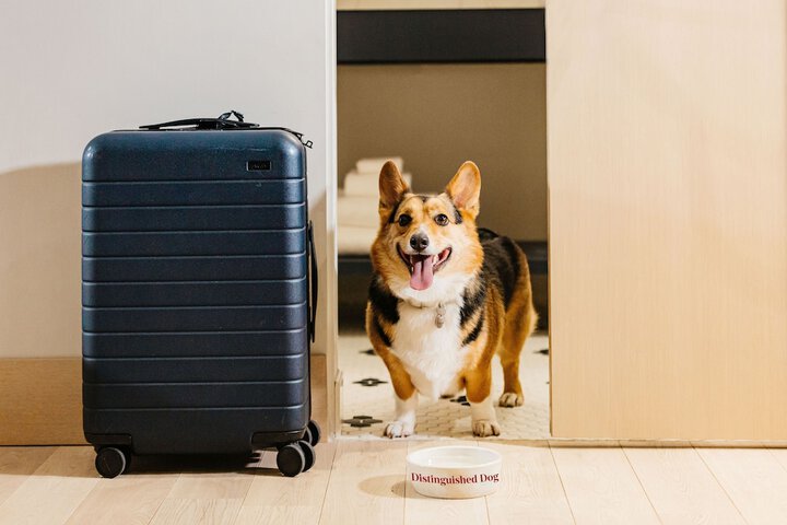 Pet Friendly 64 of 70