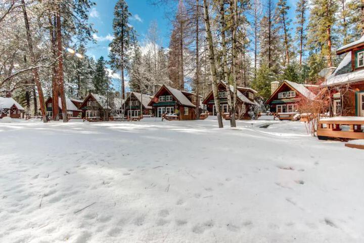 Metolius Cabin 4