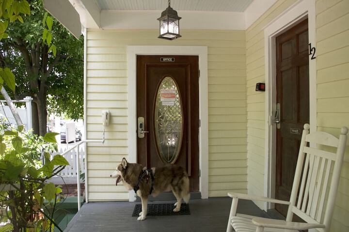 Pet Friendly 105 of 111