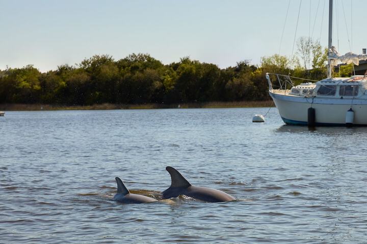 Water Sports 136 of 148