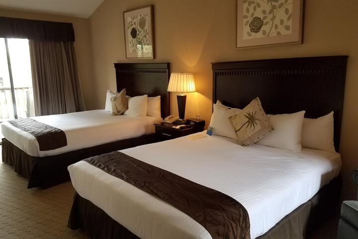 Room 43 of 55