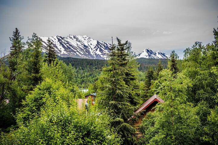 Midnight Sun Log Cabins