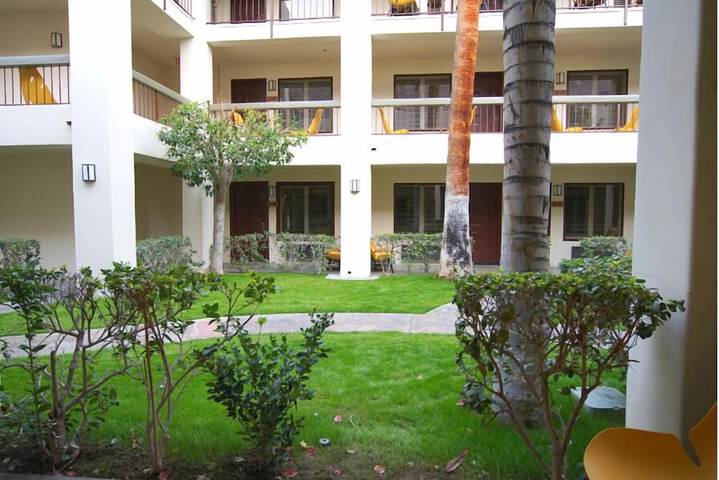 Hotel 4 of 33