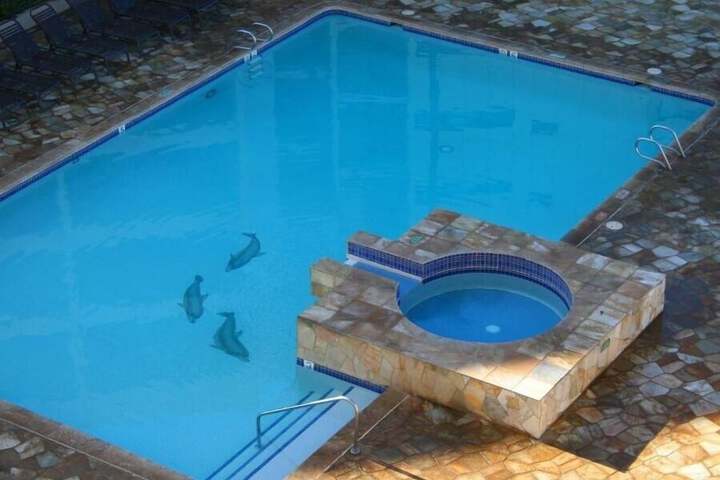 Pool 13 of 43