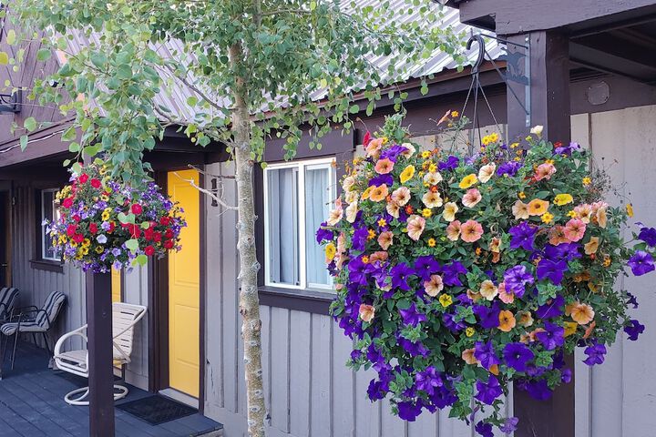 Terrace/Patio 60 of 72