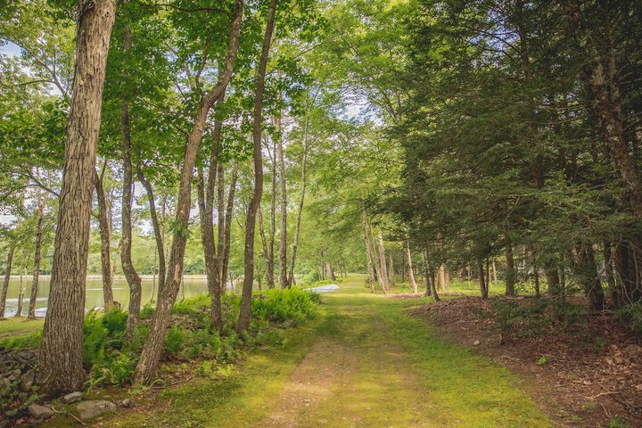 Mountain Springs Lake Resort