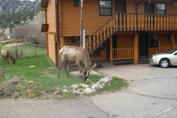 Hotel 5 of 92