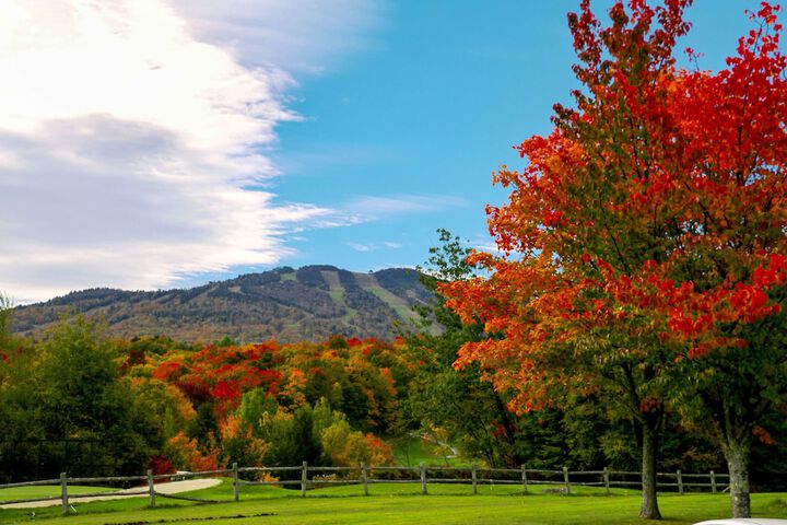 Killington Mountain Lodge Tapestry Collection by Hilton