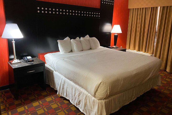 Room 19 of 29
