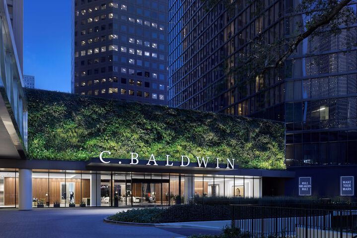C. Baldwin Curio Collection by Hilton