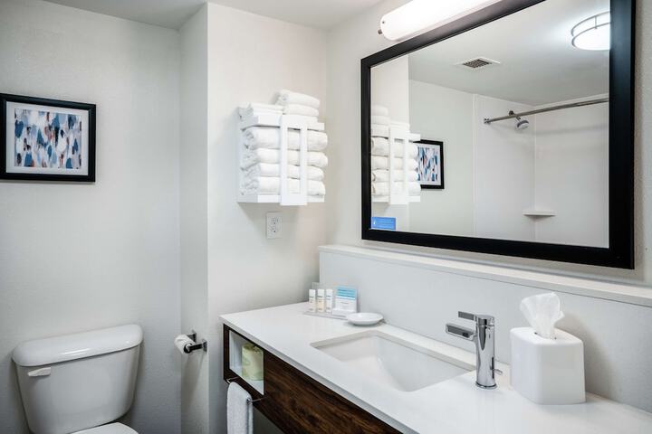 Hampton Inn Suites Opelika I85 Auburn Area