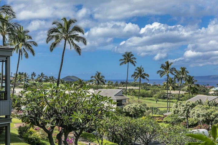 Hotel View 194 of 245