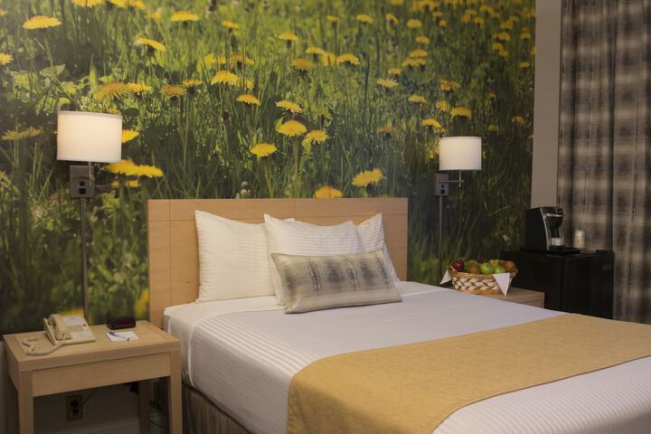 Room 21 of 53