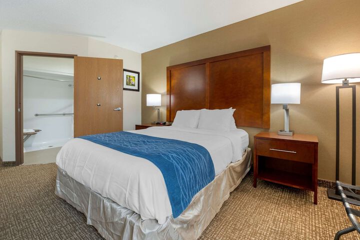 Comfort Inn Anderson South
