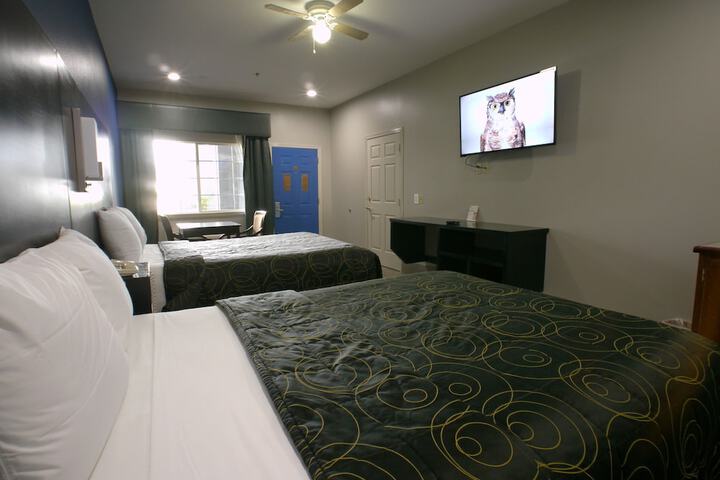 Texas Inn Alamo