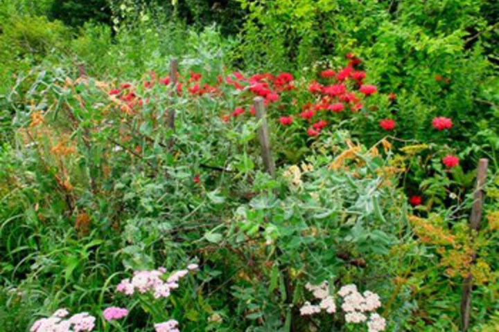 Inn Nature Bed & Breakfast