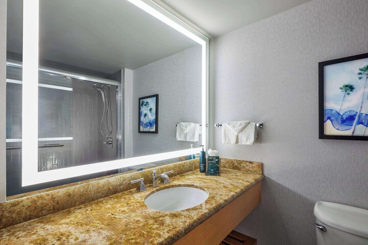 Hotel Fera Anaheim a DoubleTree by Hilton