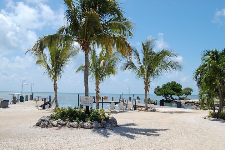 Beach 151 of 206