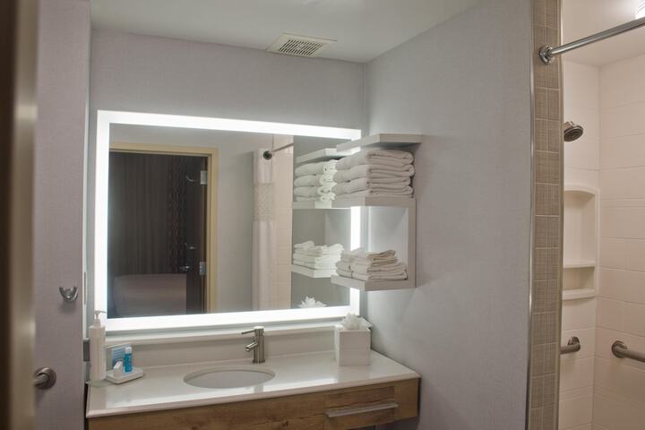 Hampton Inn & Suites Denver-Speer Boulevard