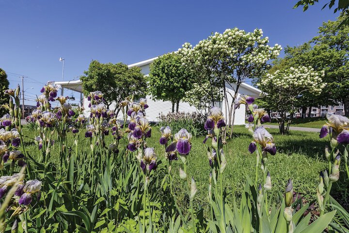 Hotel Exterior 42 of 45