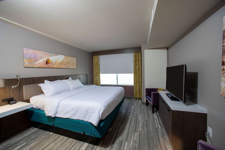 Hilton Garden Inn Rapid City