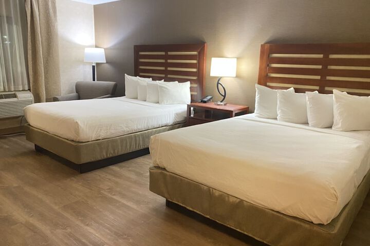 Room 50 of 82